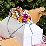 Allen Sternenkindern - in Erinnerung